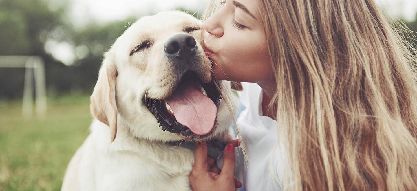 Cabecera SAKROPETS: Cosmética extraordinaria para mascotas